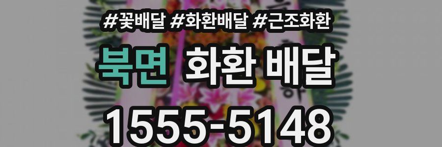 북면 화환 배달