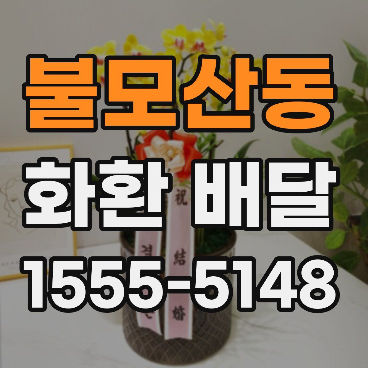 불모산동 화환 배달