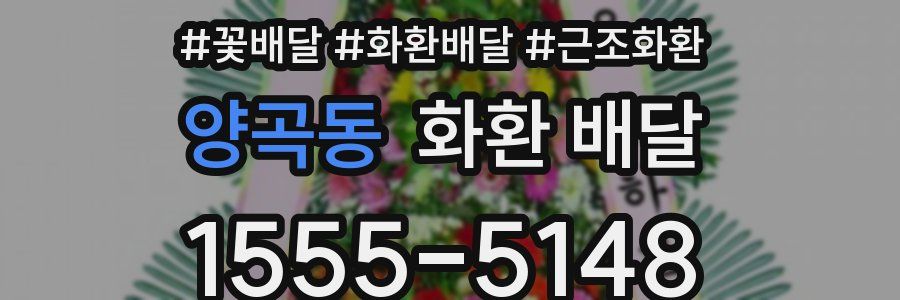 양곡동 화환 배달