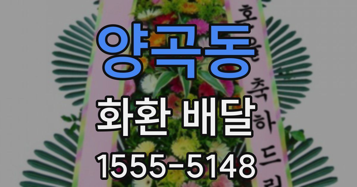양곡동 화환 배달
