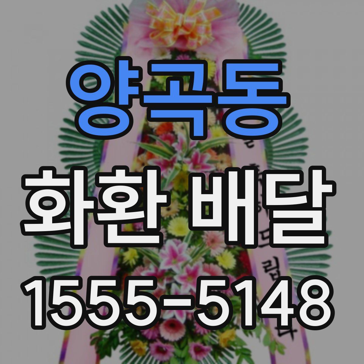 양곡동 화환 배달