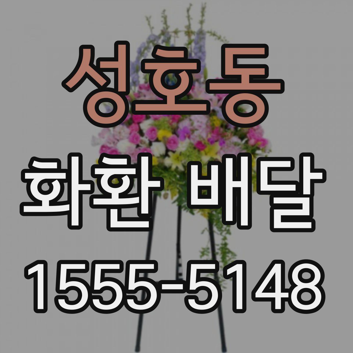 성호동 화환 배달