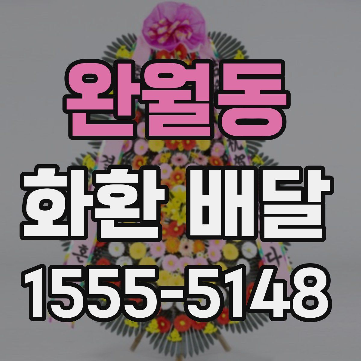 완월동 화환 배달