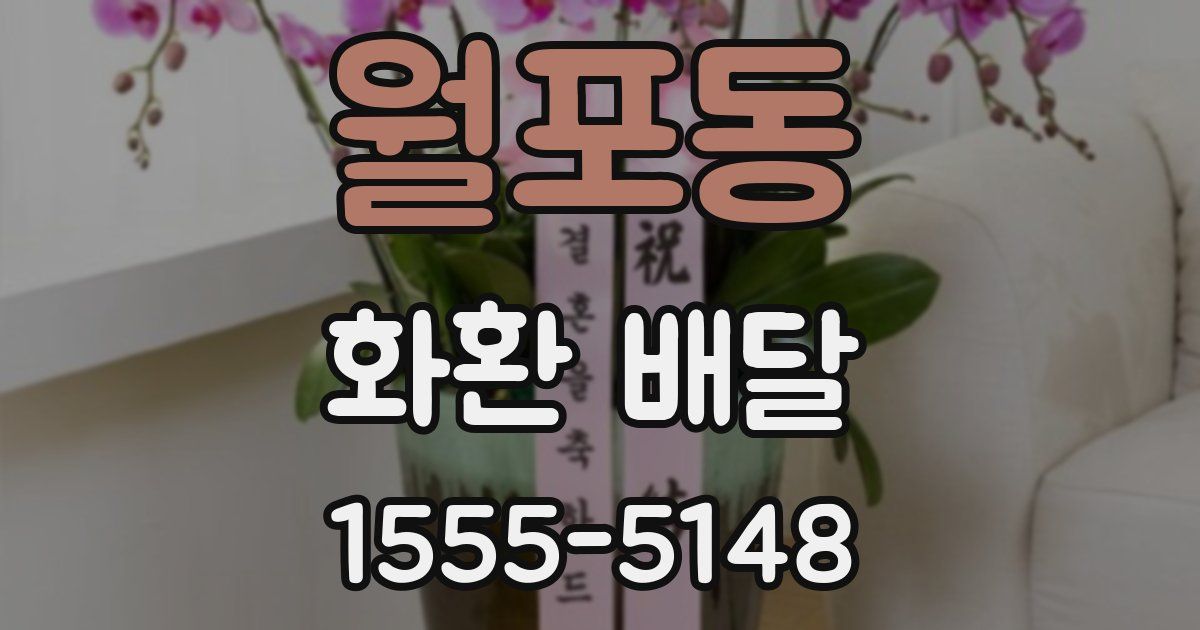월포동 화환 배달