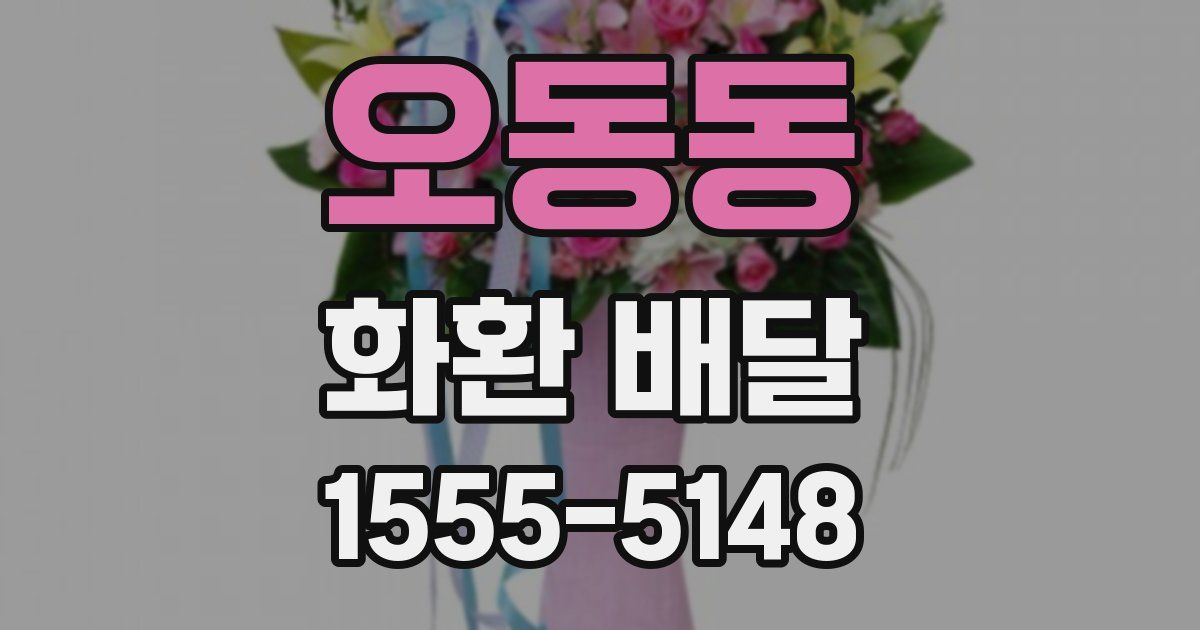 오동동 화환 배달