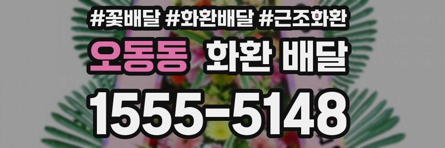 오동동 화환 배달