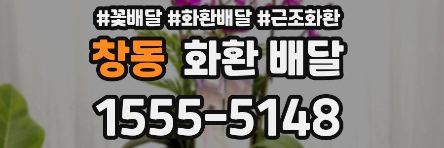 창동 화환 배달