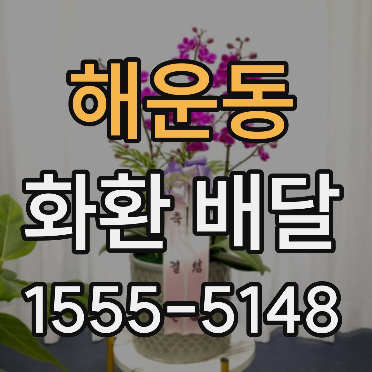 해운동 화환 배달