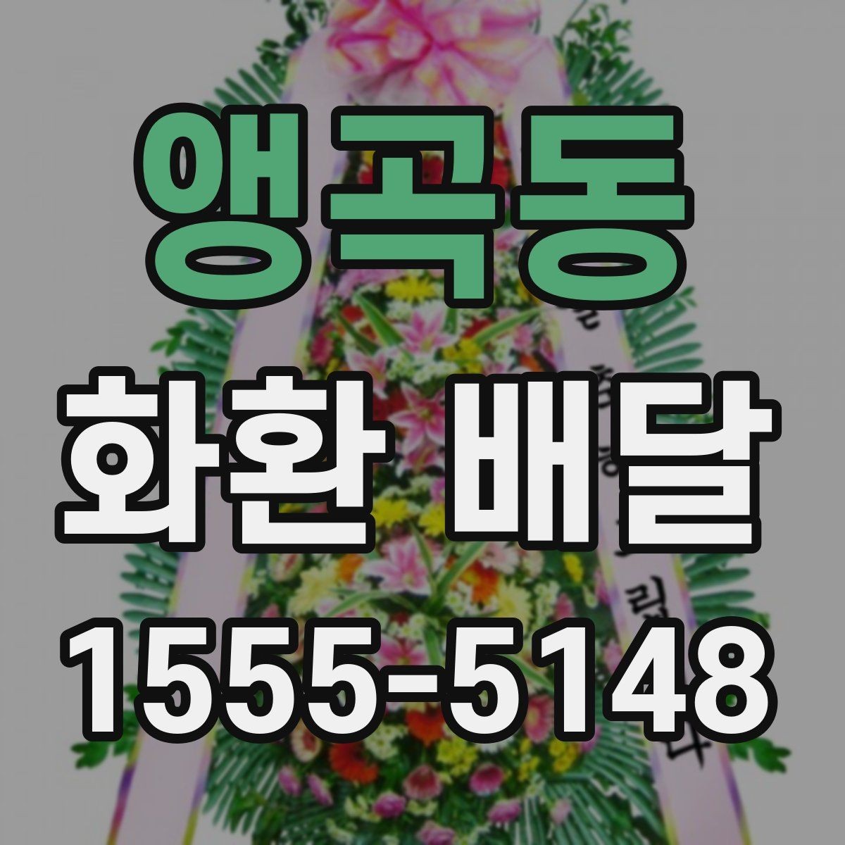 앵곡동 화환 배달 꽃 상태와 리본 문구를 살펴봐야 하는 이유