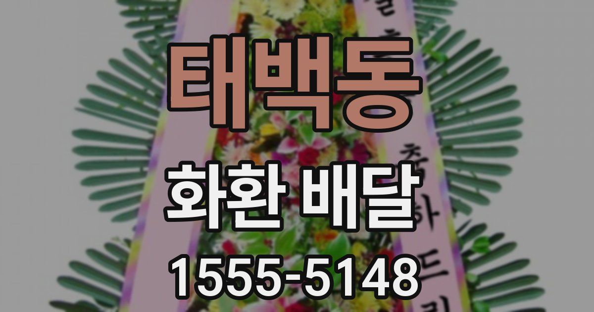 태백동 화환 배달