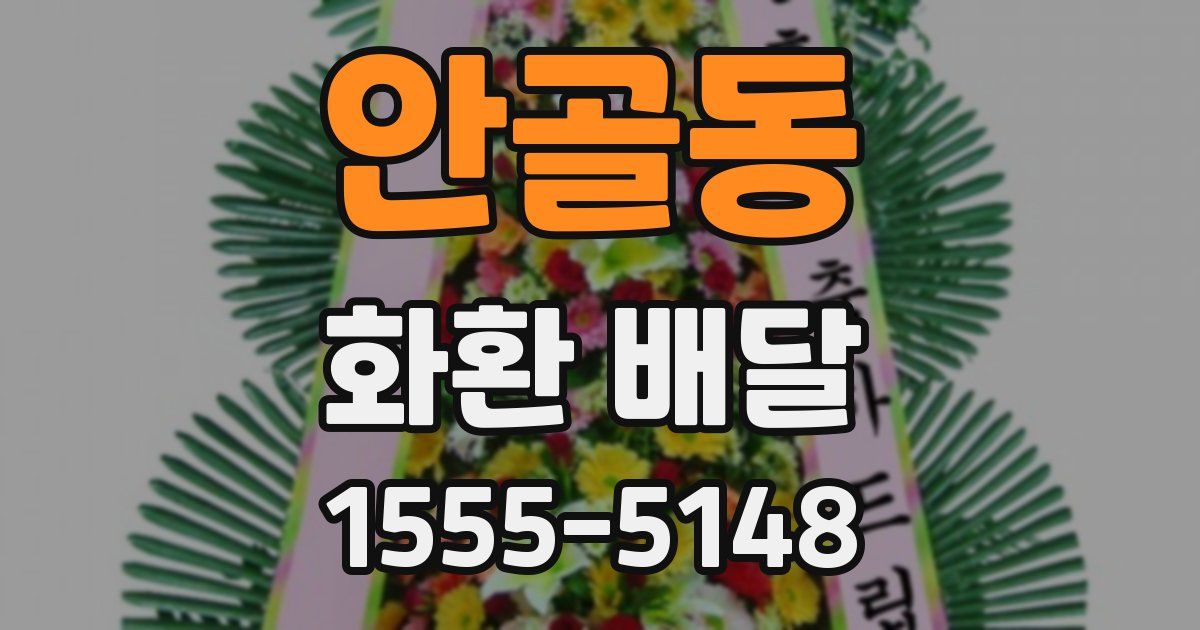 안골동 화환 배달