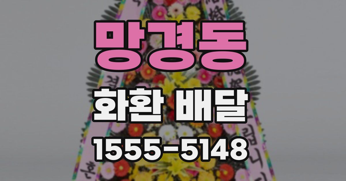 망경동 화환 배달