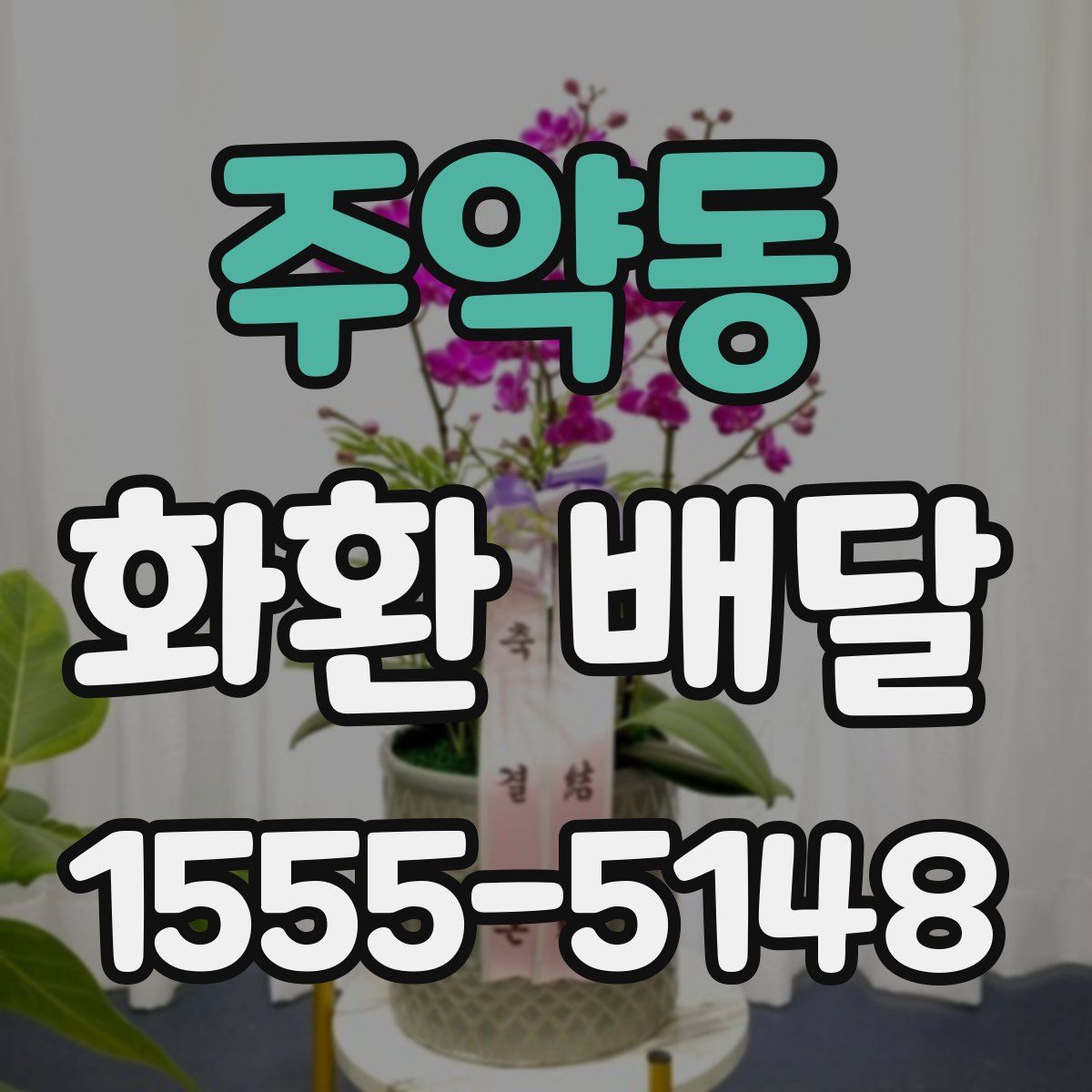주약동 화환 배달