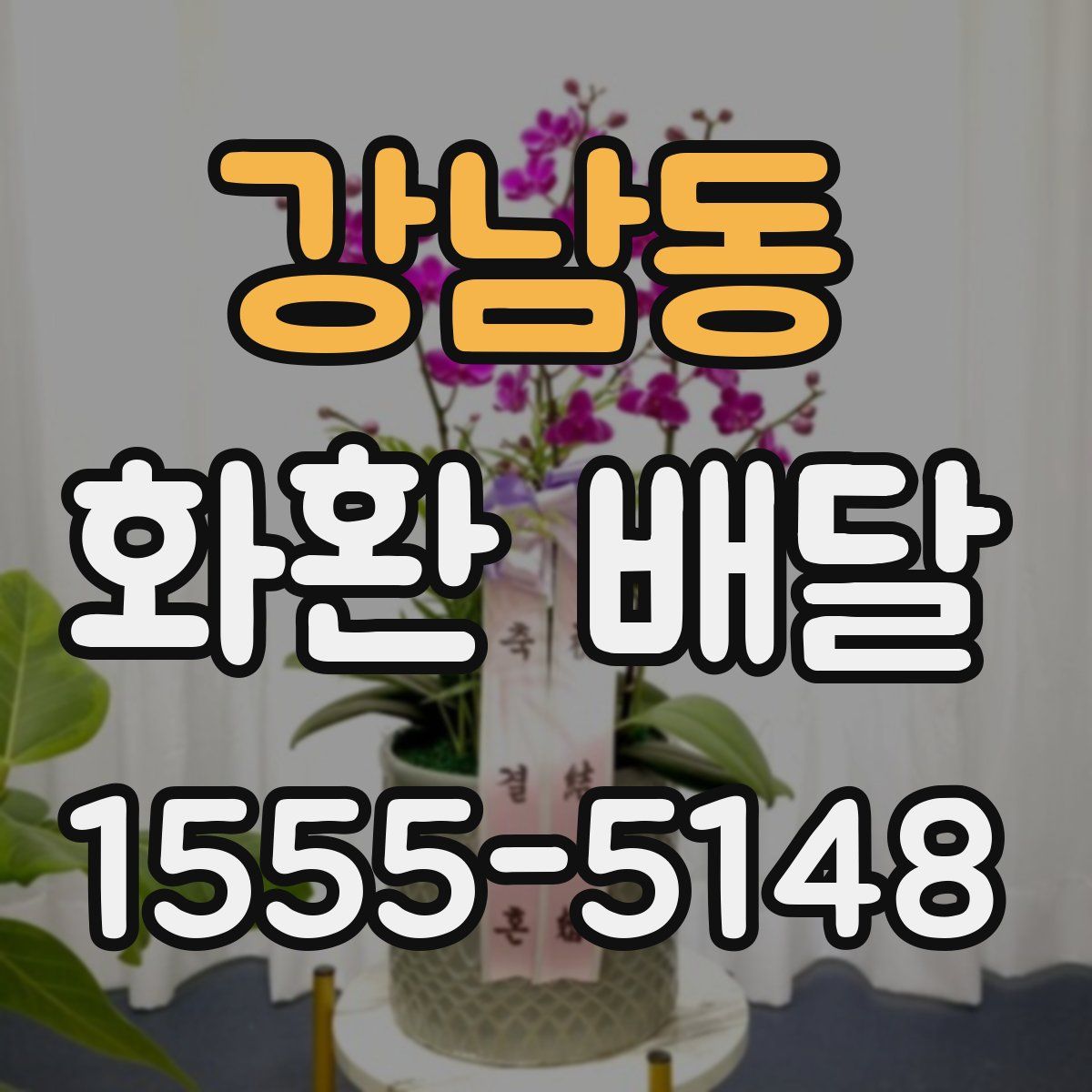 강남동 화환 배달