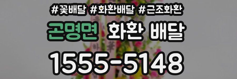 곤명면 화환 배달