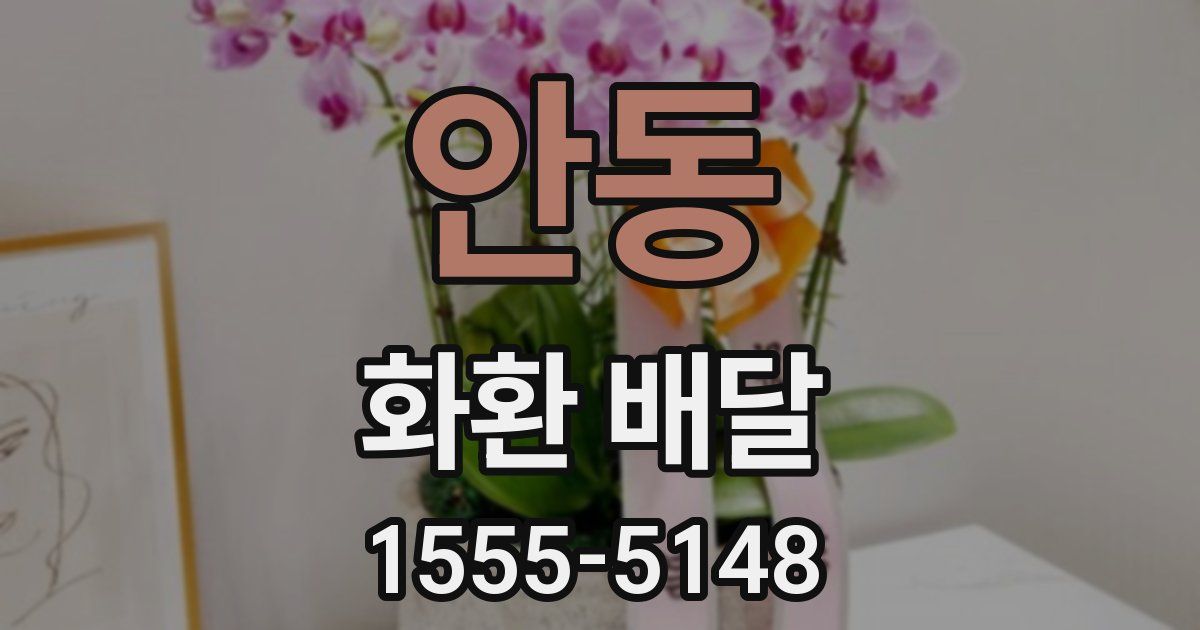 안동 화환 배달