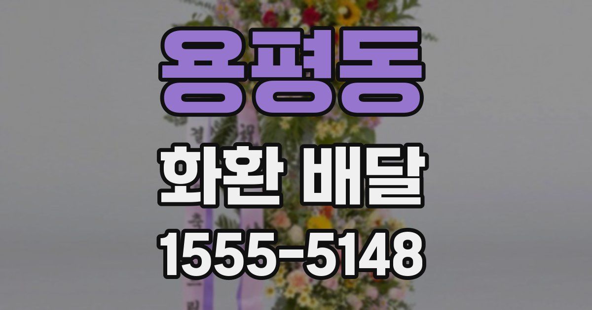 용평동 화환 배달