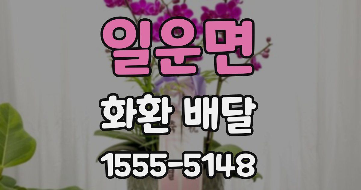일운면 화환 배달