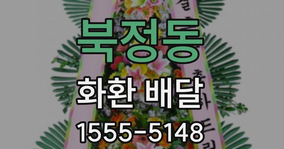 북정동 화환 배달
