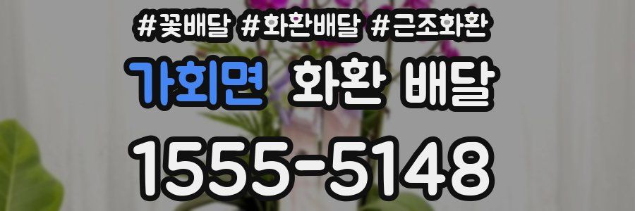 가회면 화환 배달