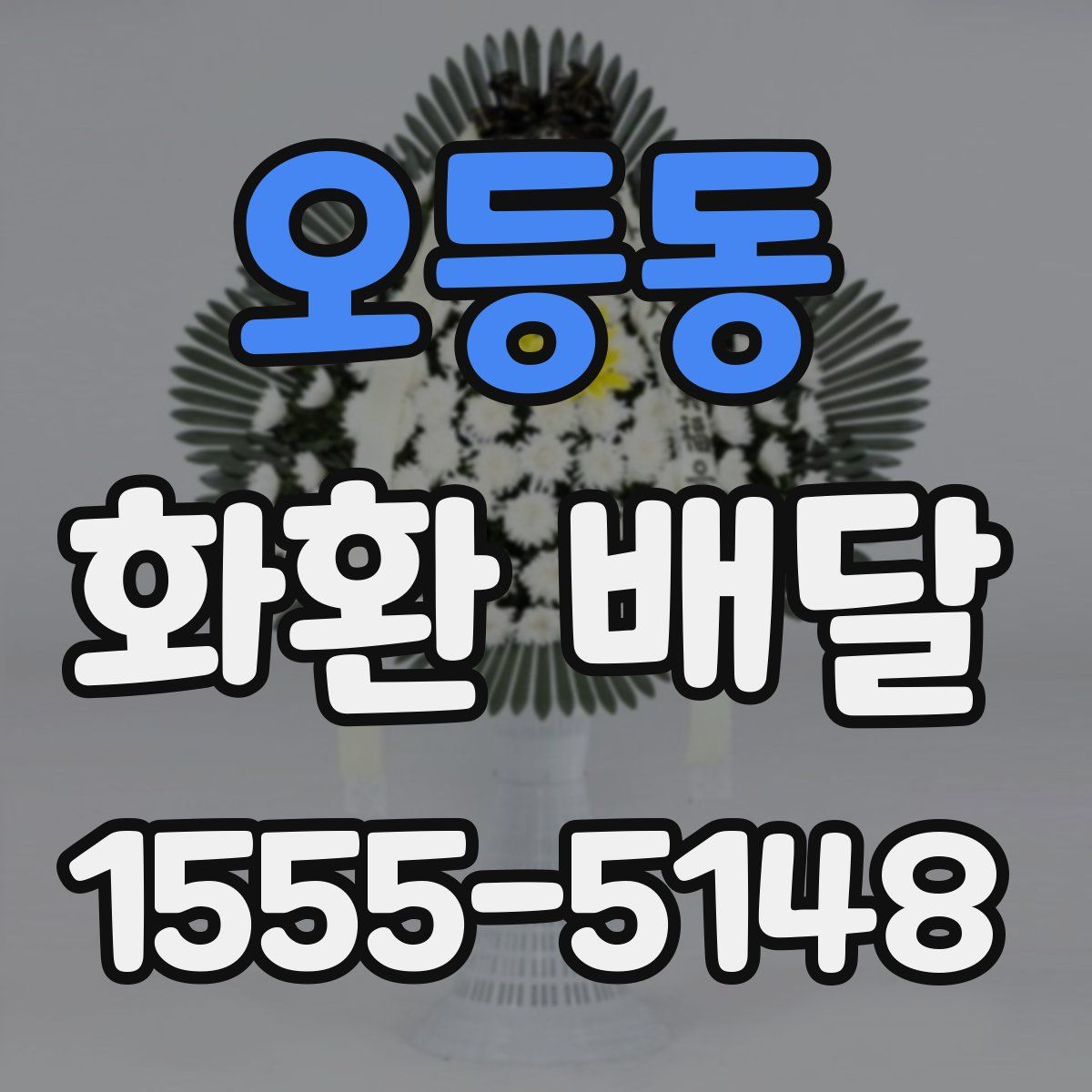 오등동 화환 배달