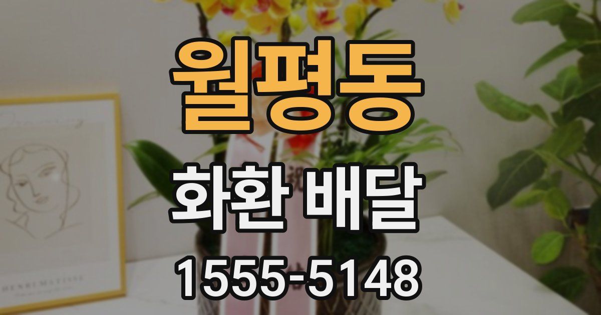월평동 화환 배달