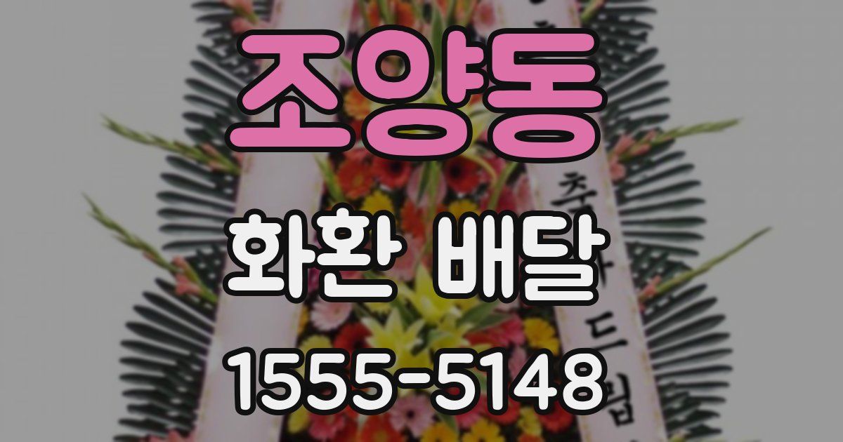 조양동 화환 배달