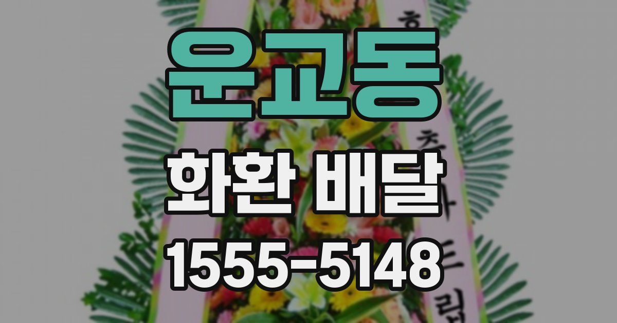 운교동 화환 배달
