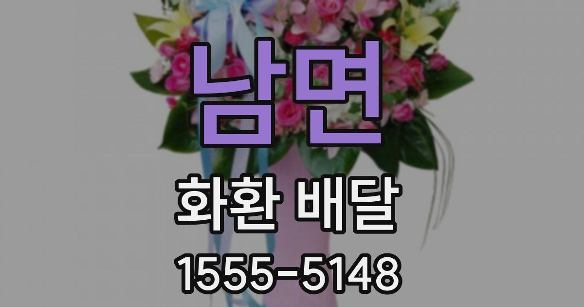 남면 화환 배달