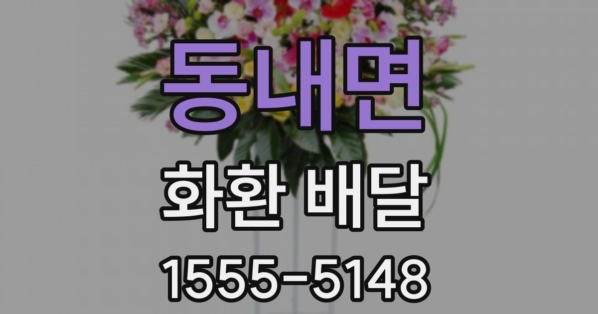 동내면 화환 배달