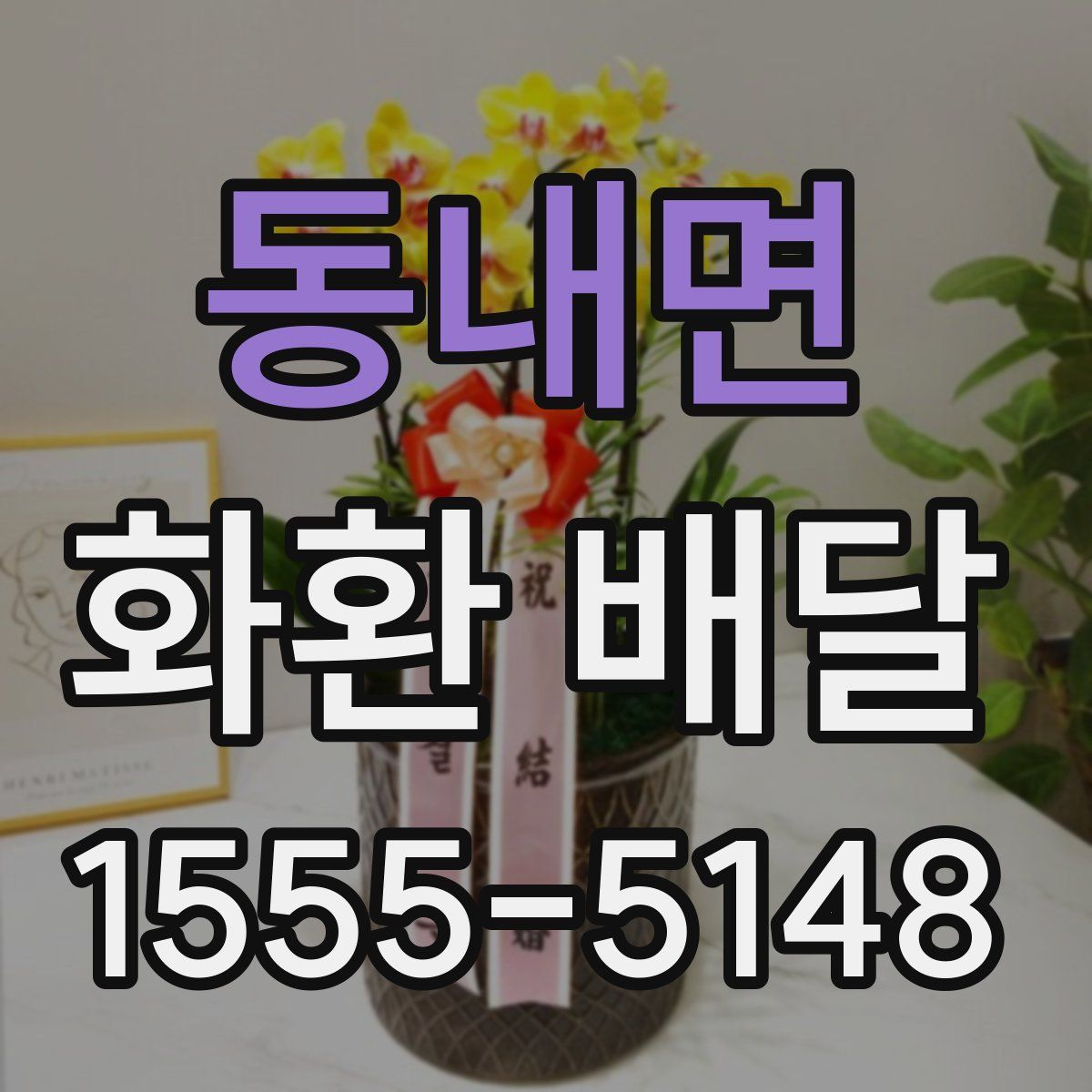 동내면 화환 배달