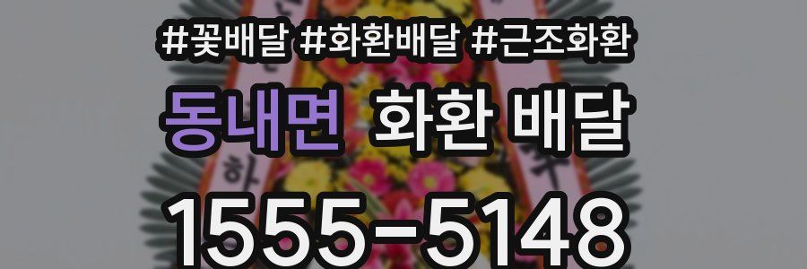 동내면 화환 배달