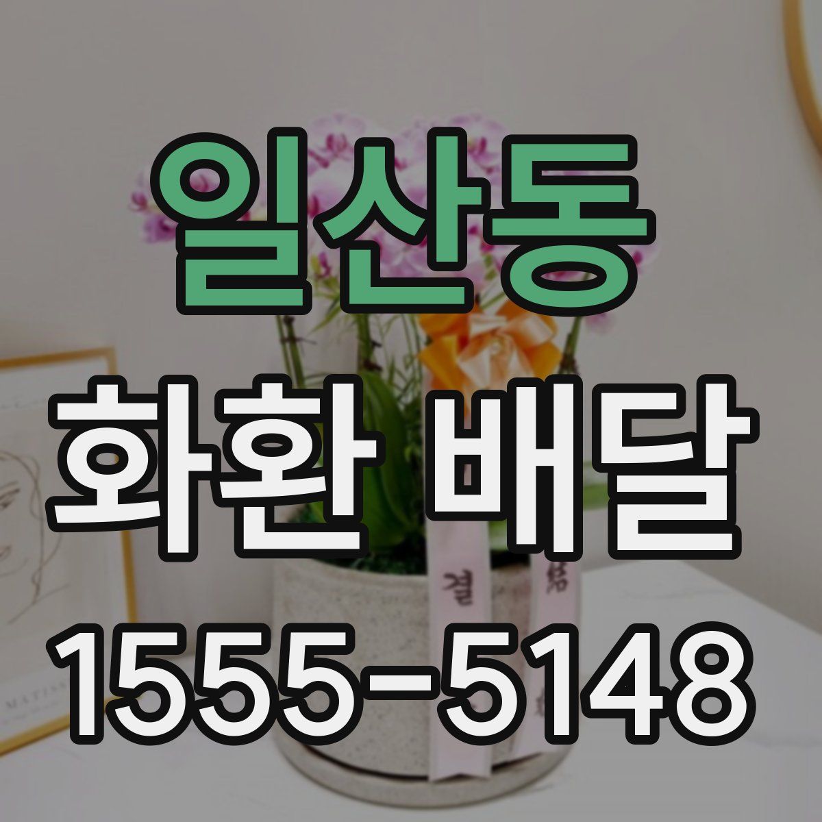 일산동 화환 배달