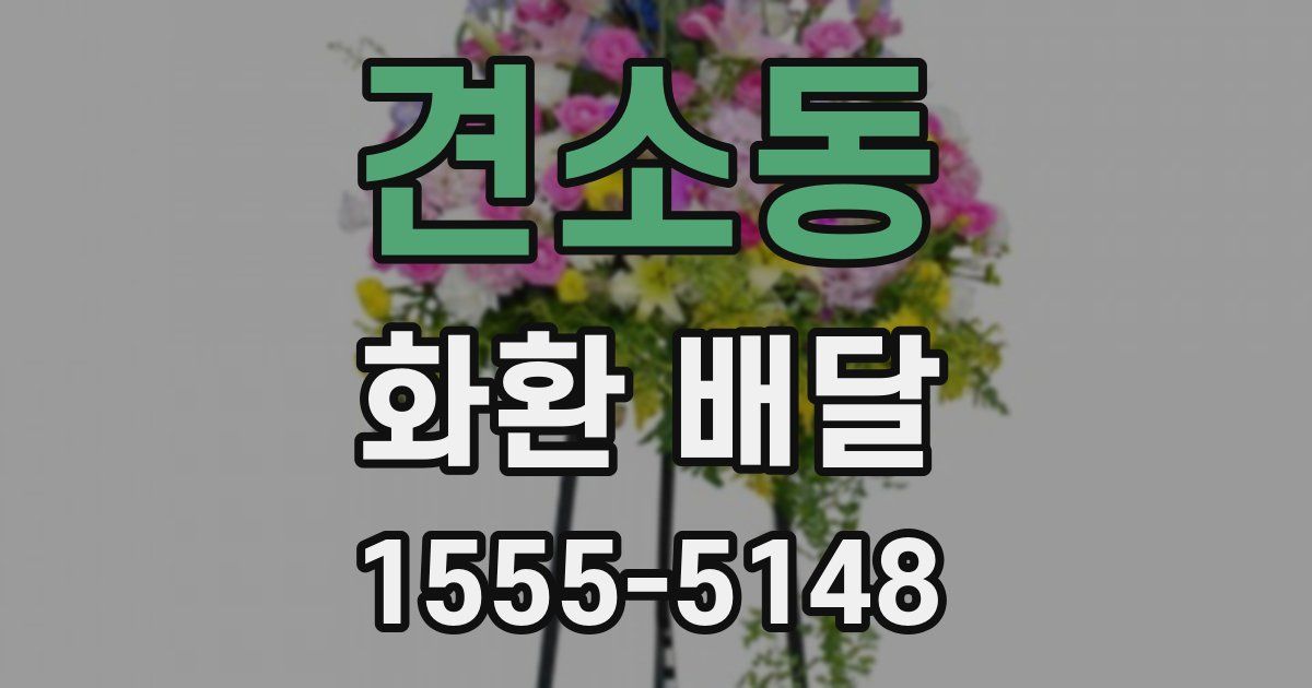 견소동 화환 배달