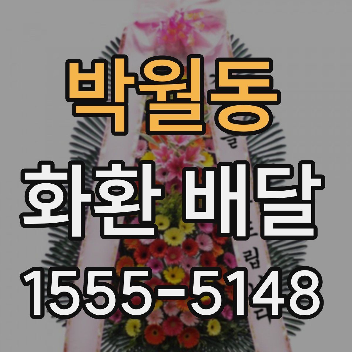 박월동 화환 배달 지역별 가능 범위와 확인 기준
