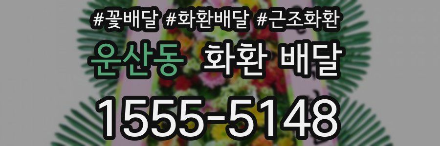 운산동 화환 배달