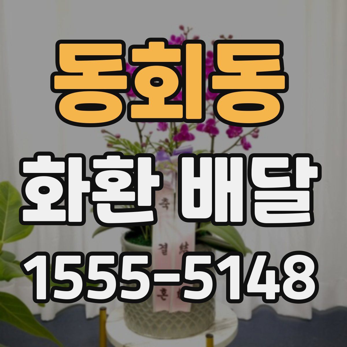 동회동 화환 배달