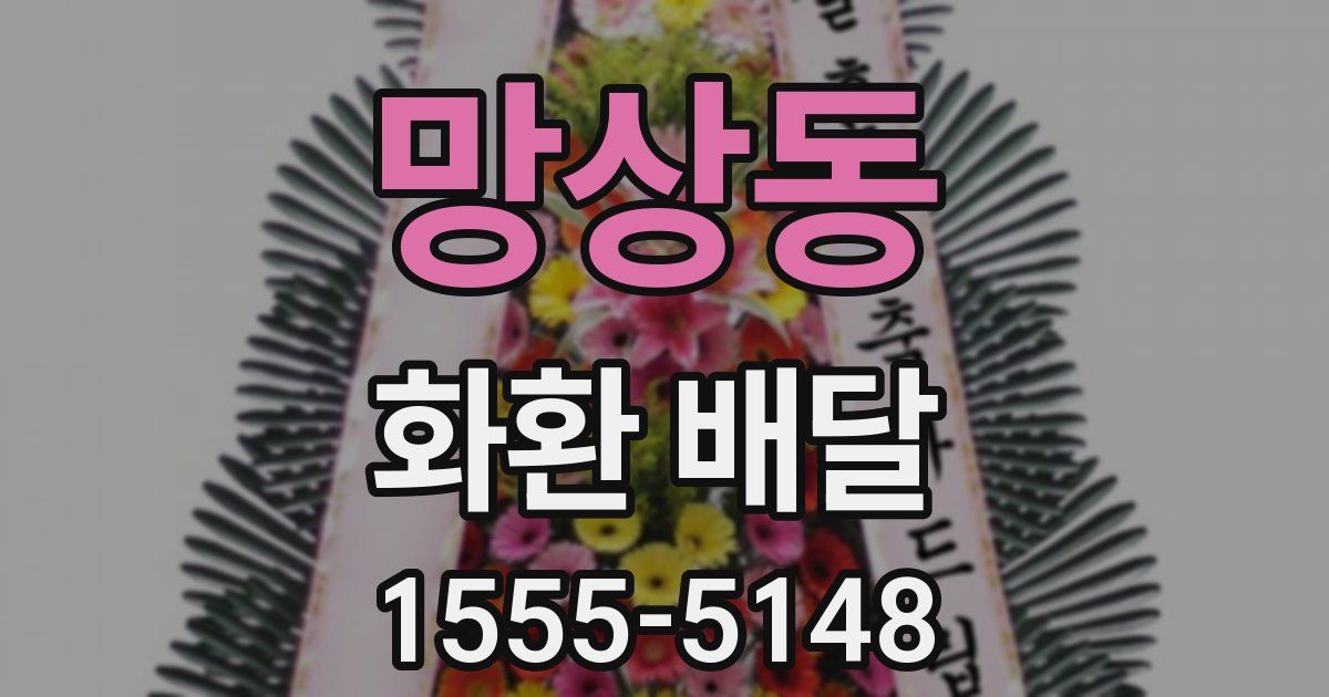 망상동 화환 배달