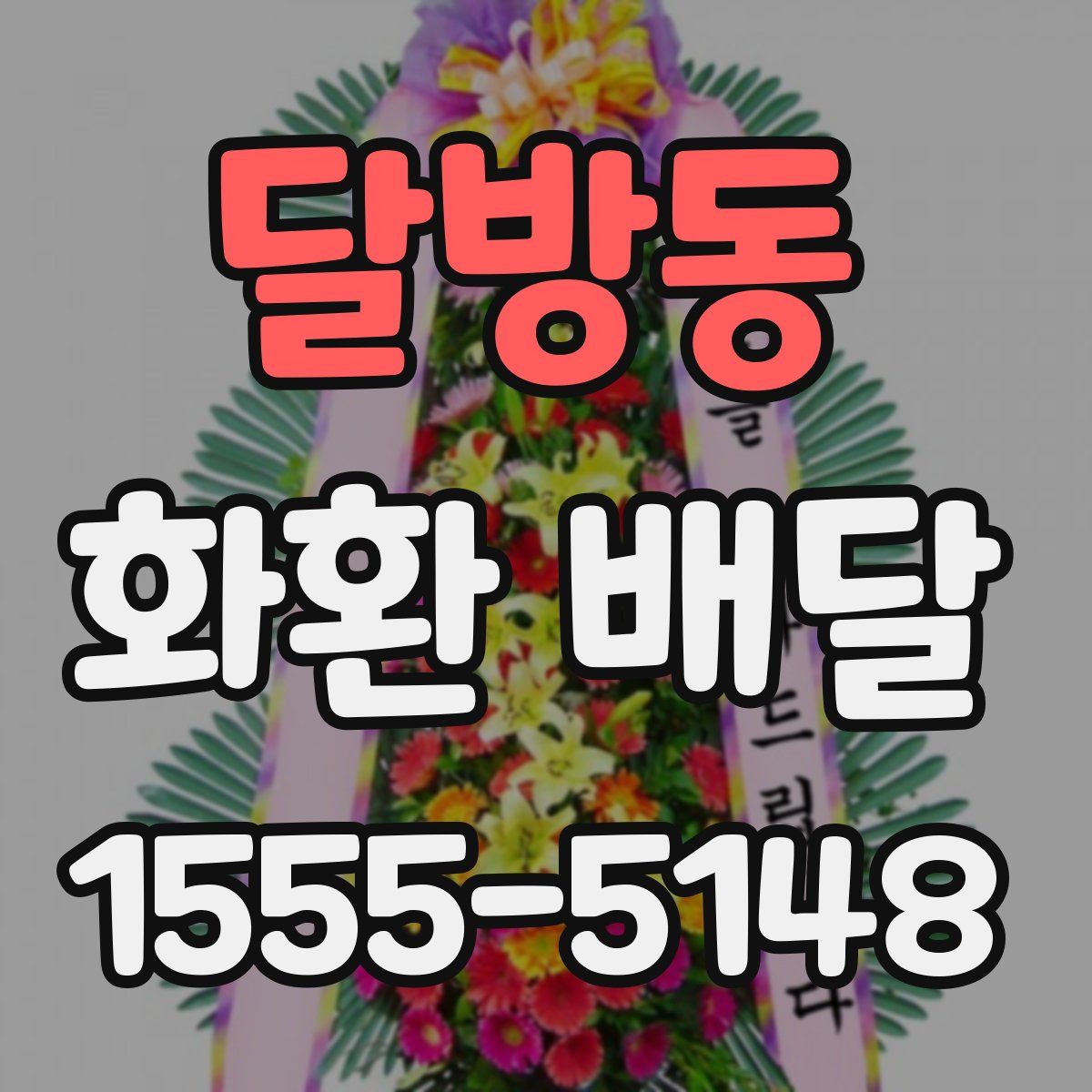 달방동 화환 배달