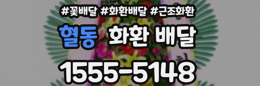 혈동 화환 배달