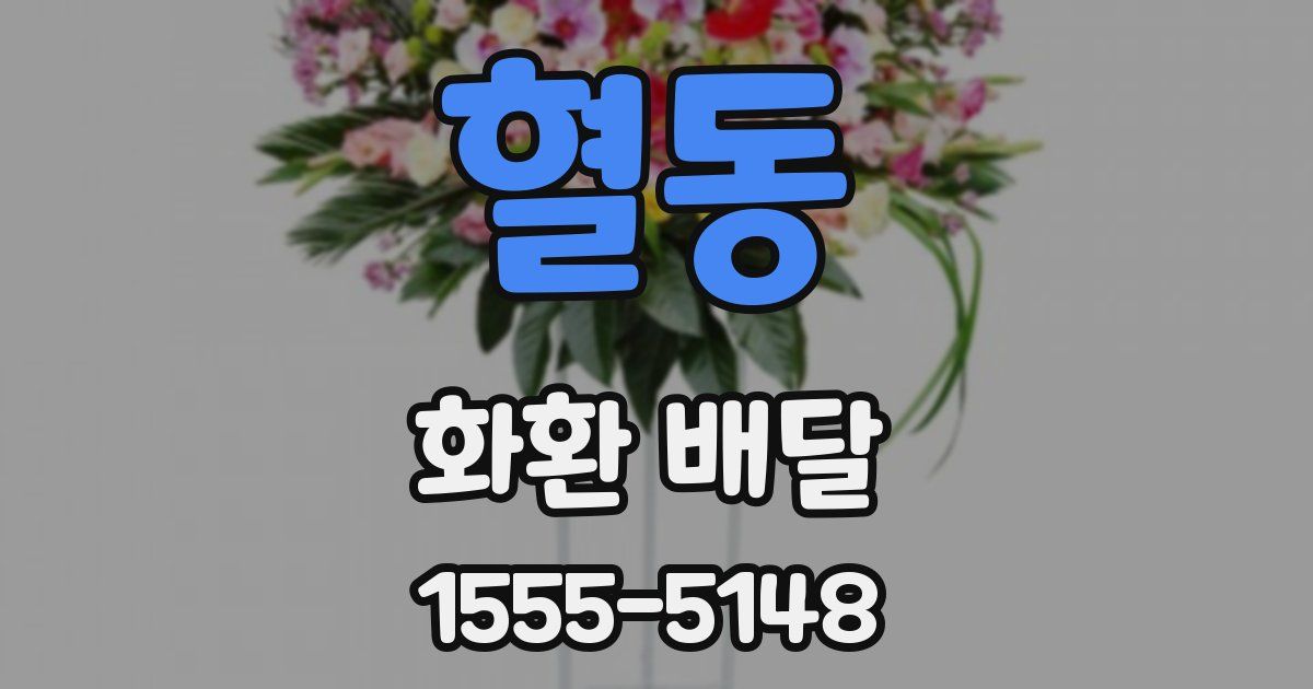 혈동 화환 배달
