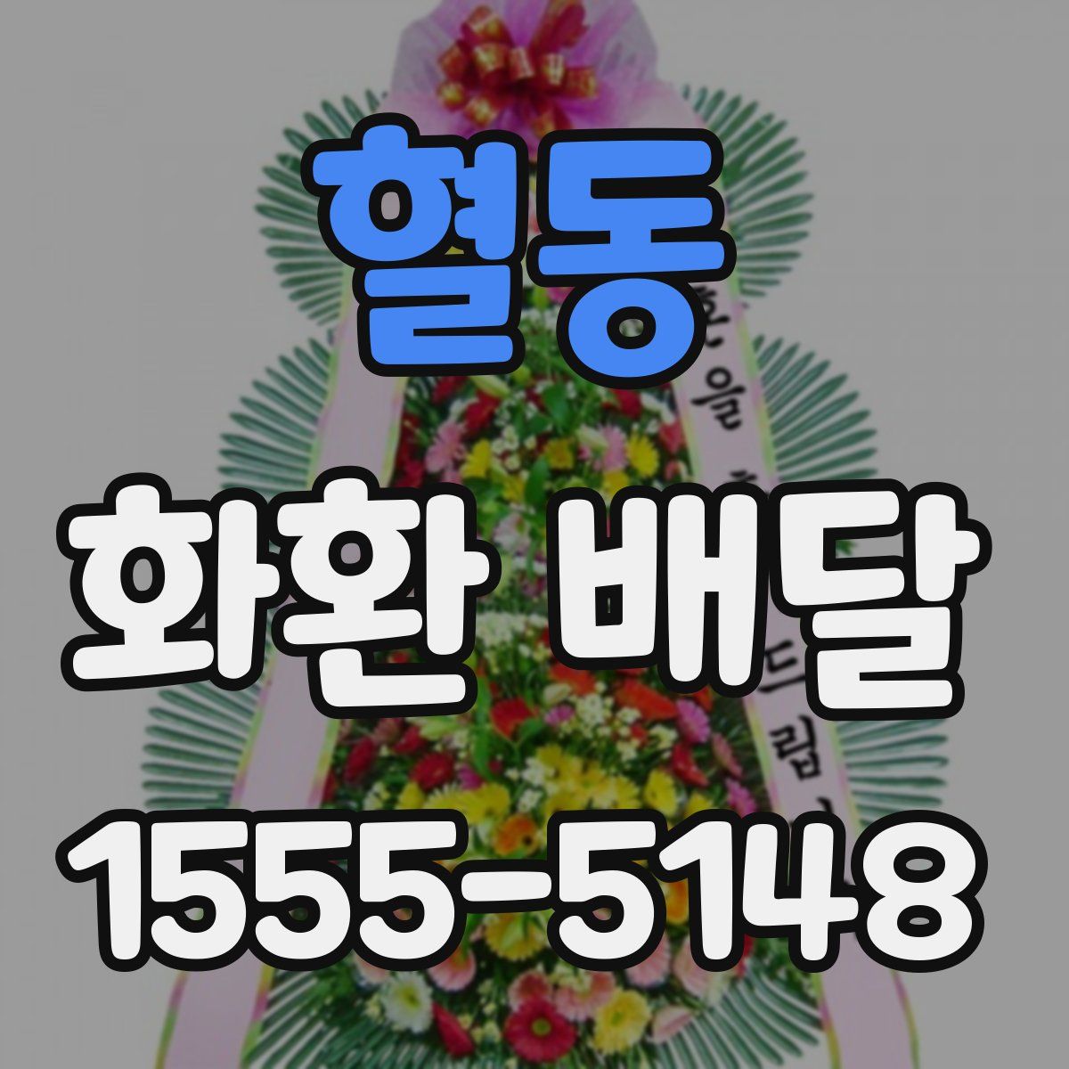 혈동 화환 배달