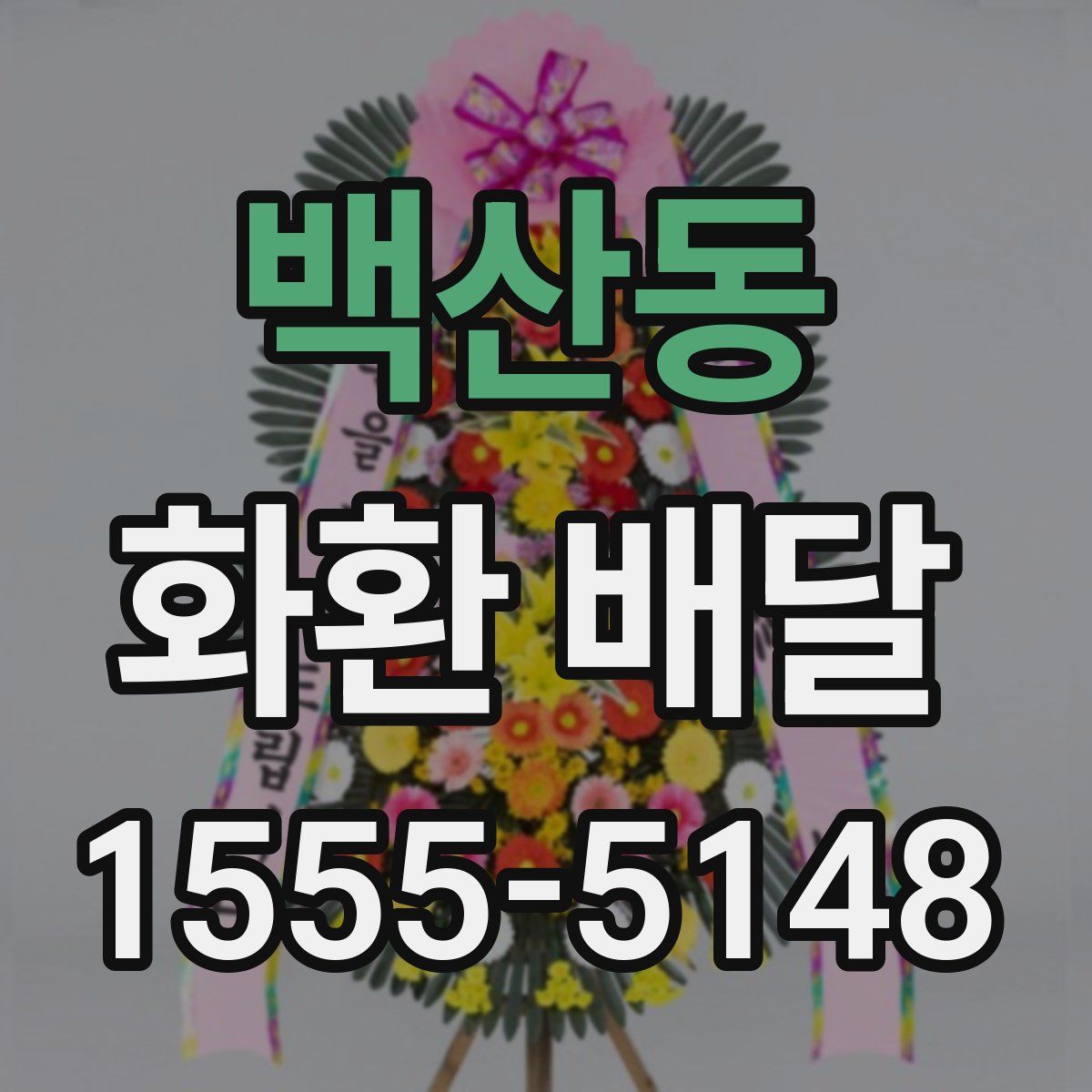 백산동 화환 배달