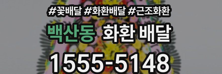 백산동 화환 배달