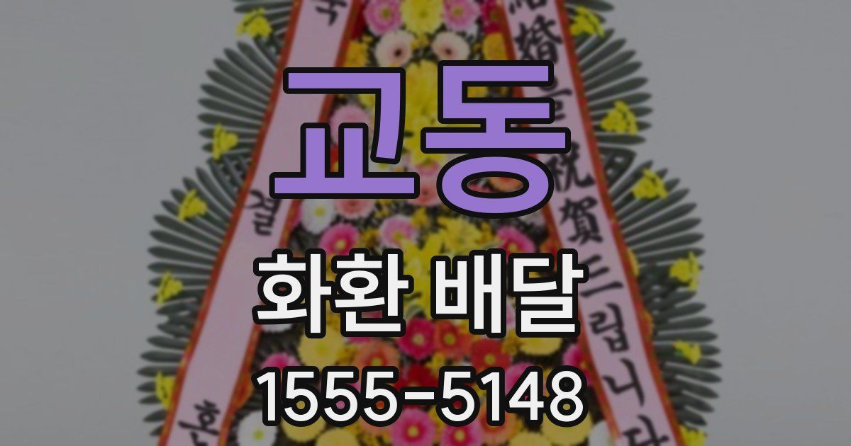 교동 화환 배달