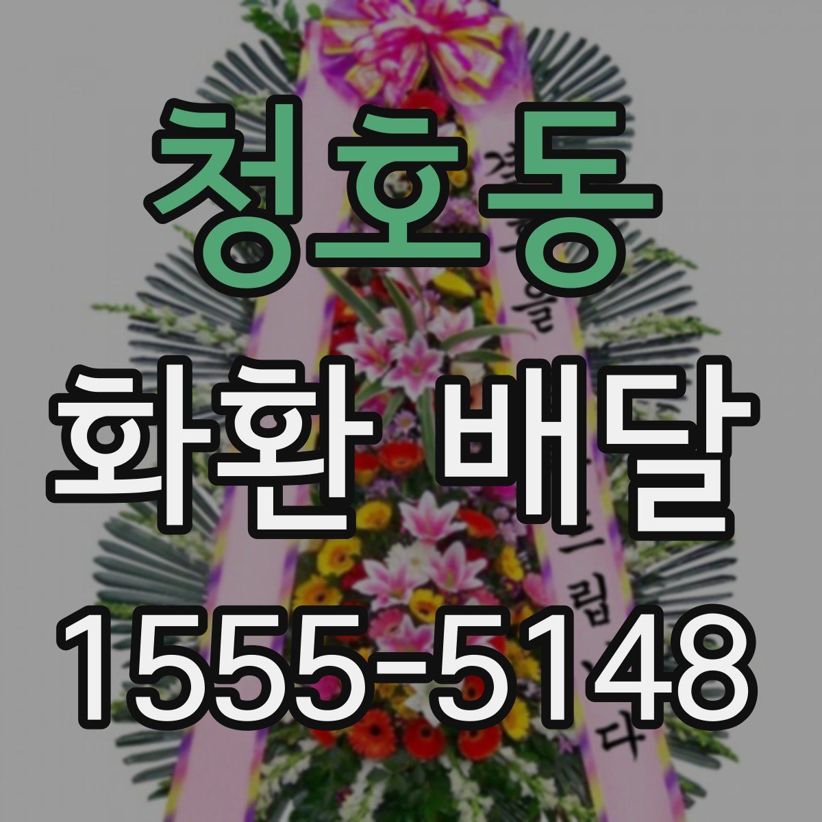 청호동 화환 배달