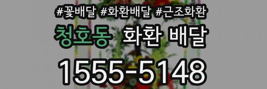 청호동 화환 배달