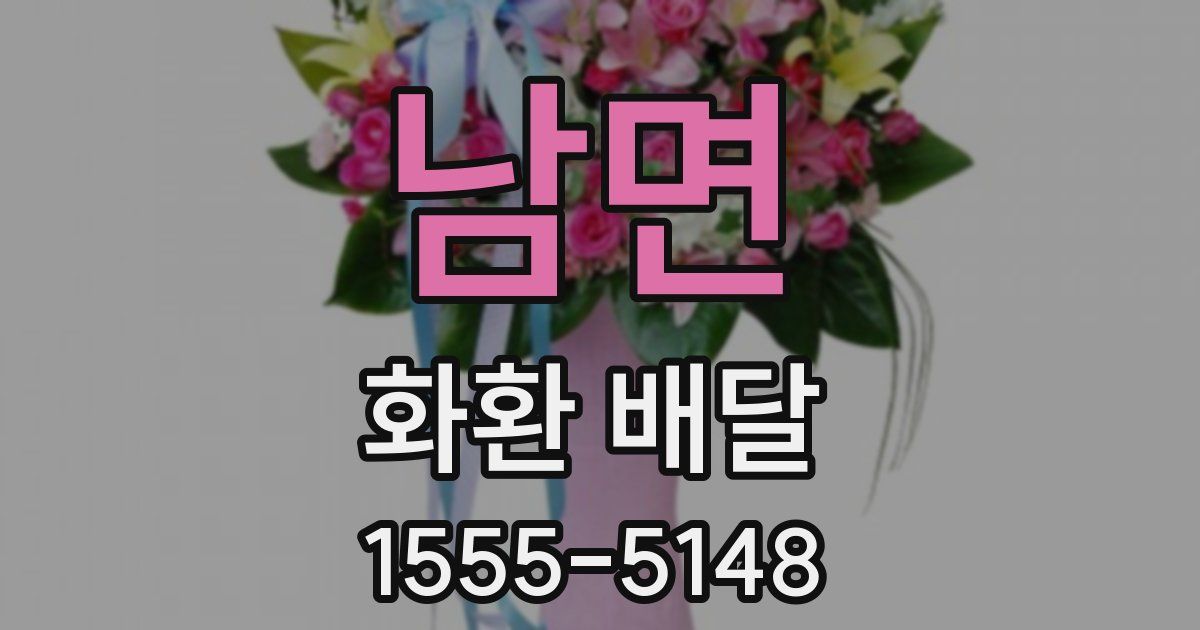 남면 화환 배달