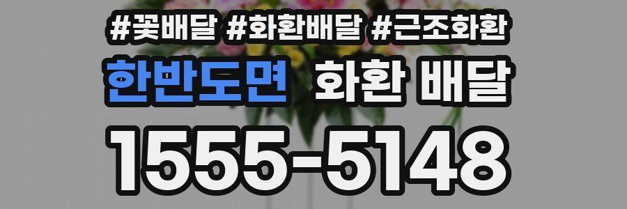 한반도면 화환 배달
