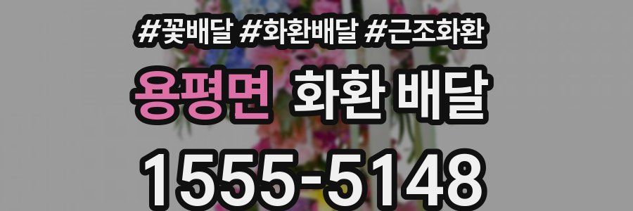 용평면 화환 배달